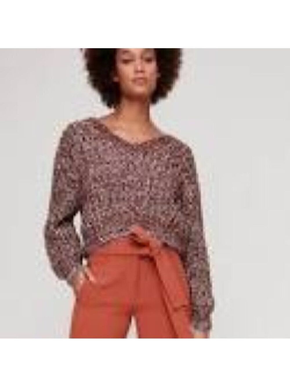 ARITZIA Wilfred Eleanor Sweater Light Weight V-neck Sweater Size  L
